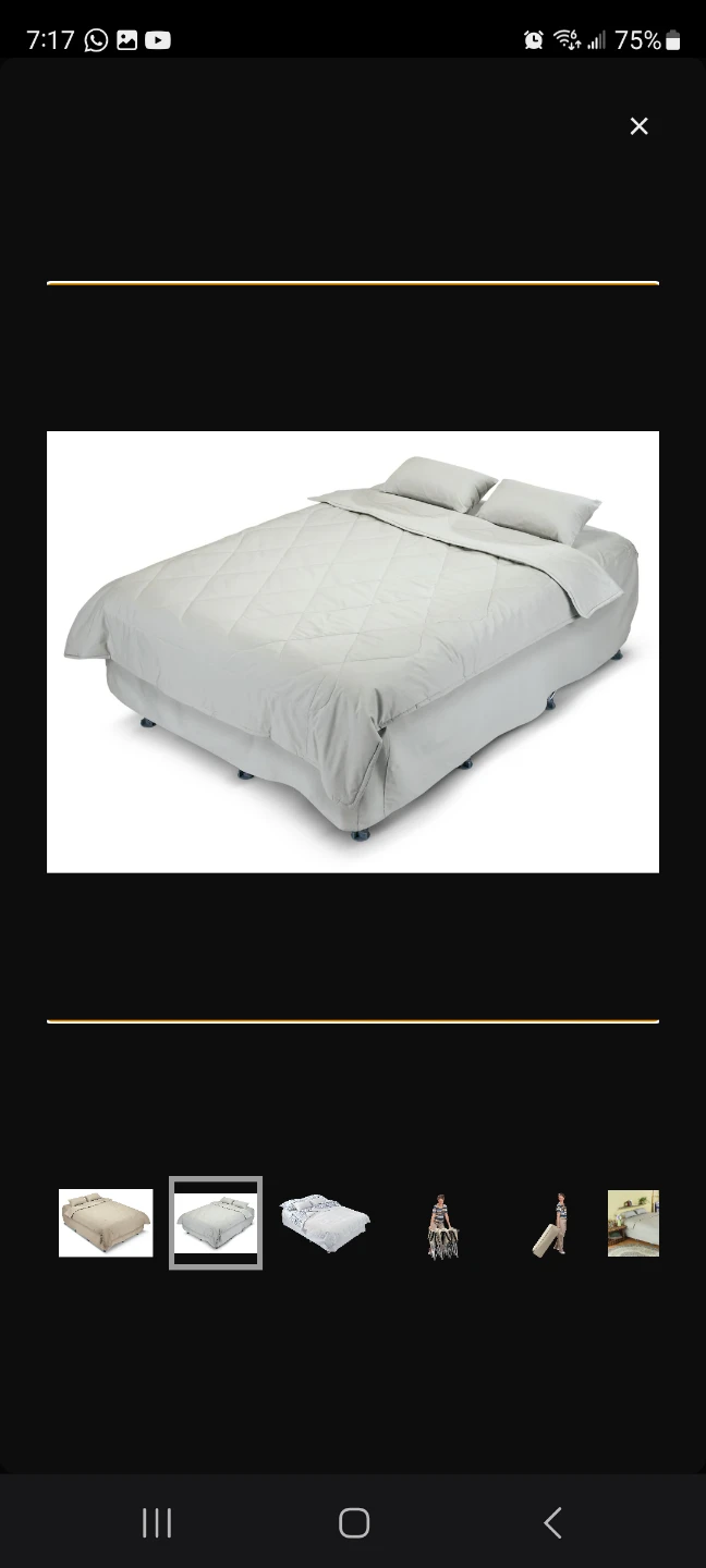 Portable self inflating queen bed