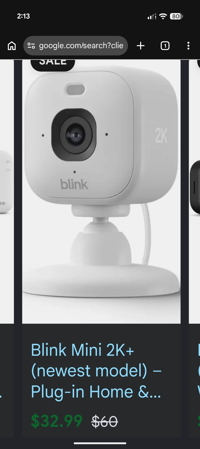 Blink Mini  Camera - photo 2