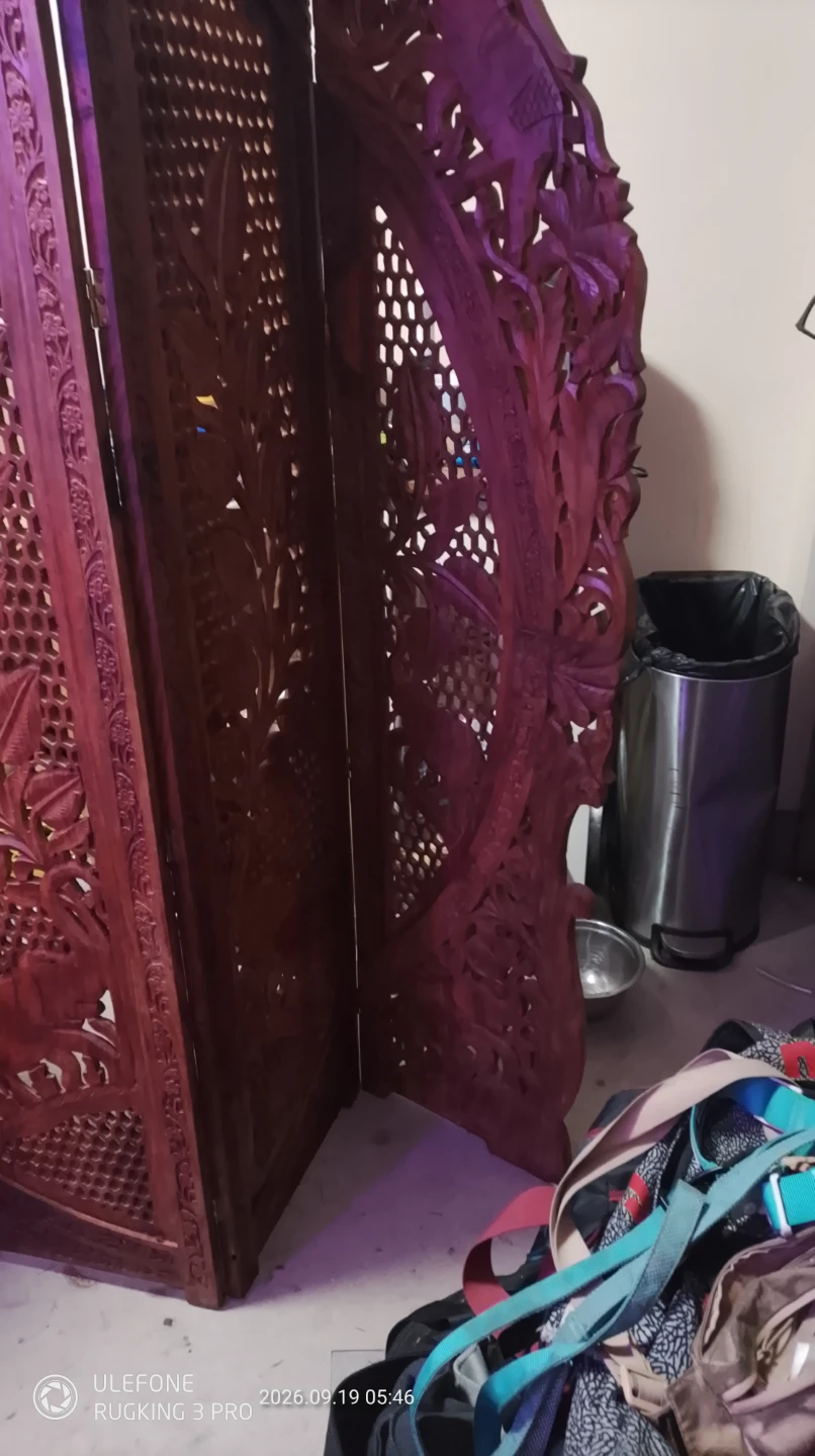 Carved Wooden Room Divider - photo 5