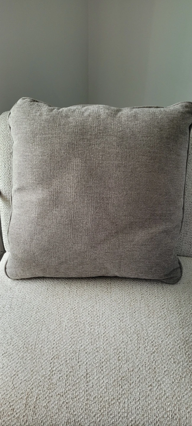 2 Large Accent/Throw Pillows - photo 4