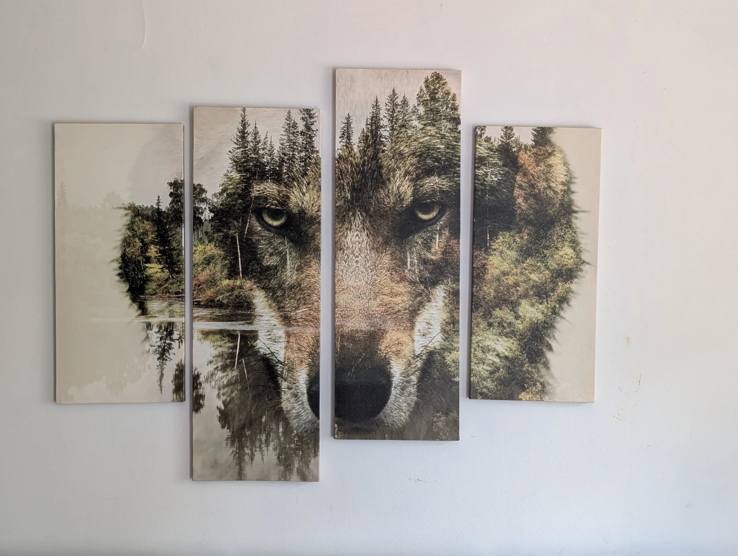 4 canvas wolf forest picture