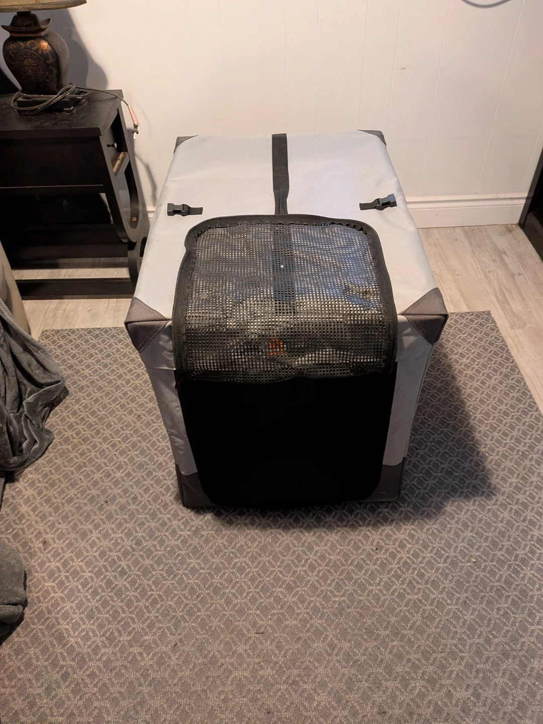 Collapsible Soft-Sided Pet Crate