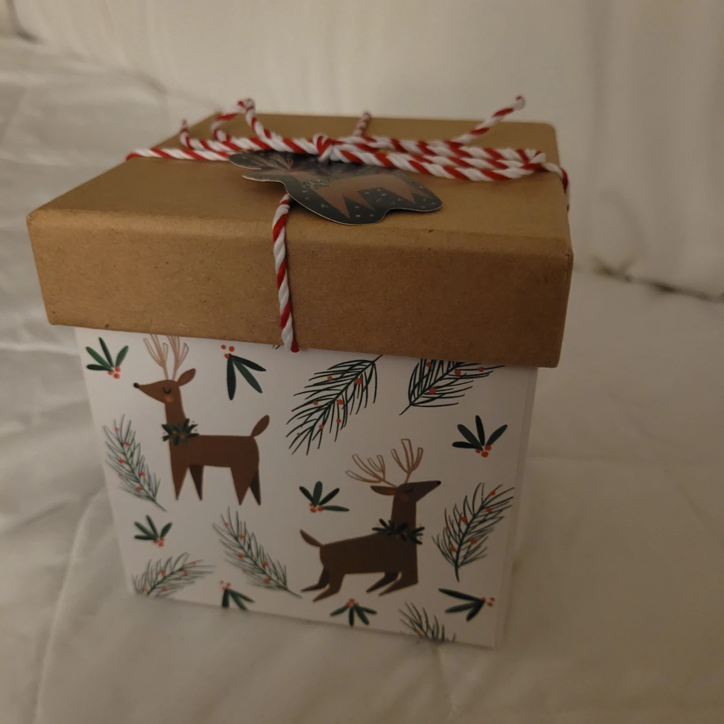 Molly & Rex holiday reindeer gift box - photo 3