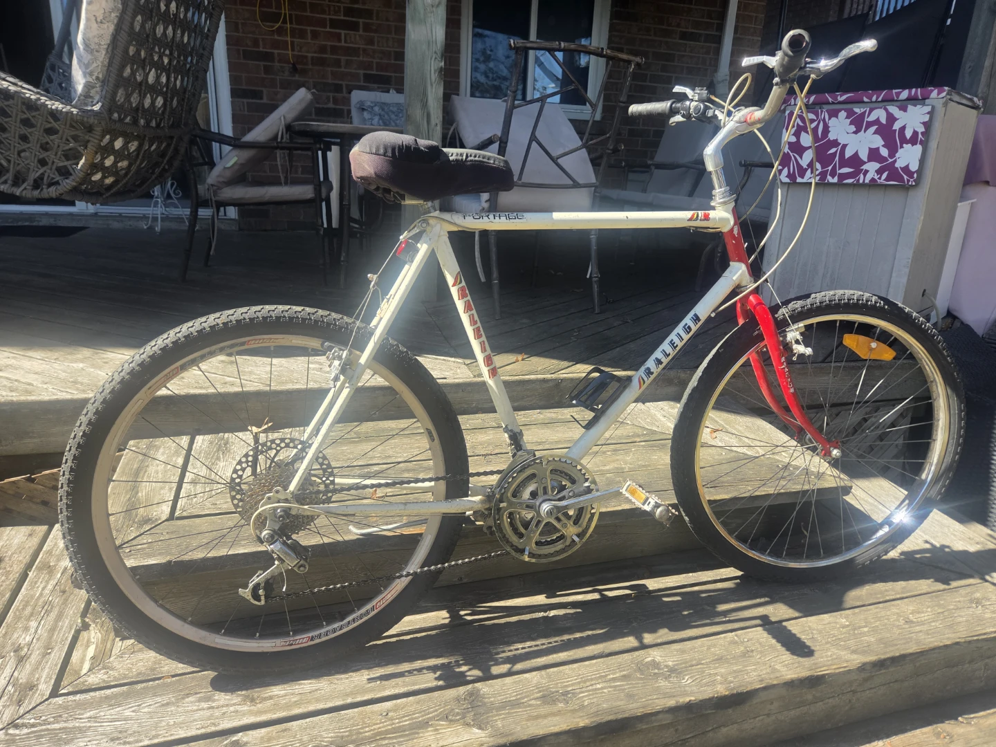Raleigh Portage Mountain Bike