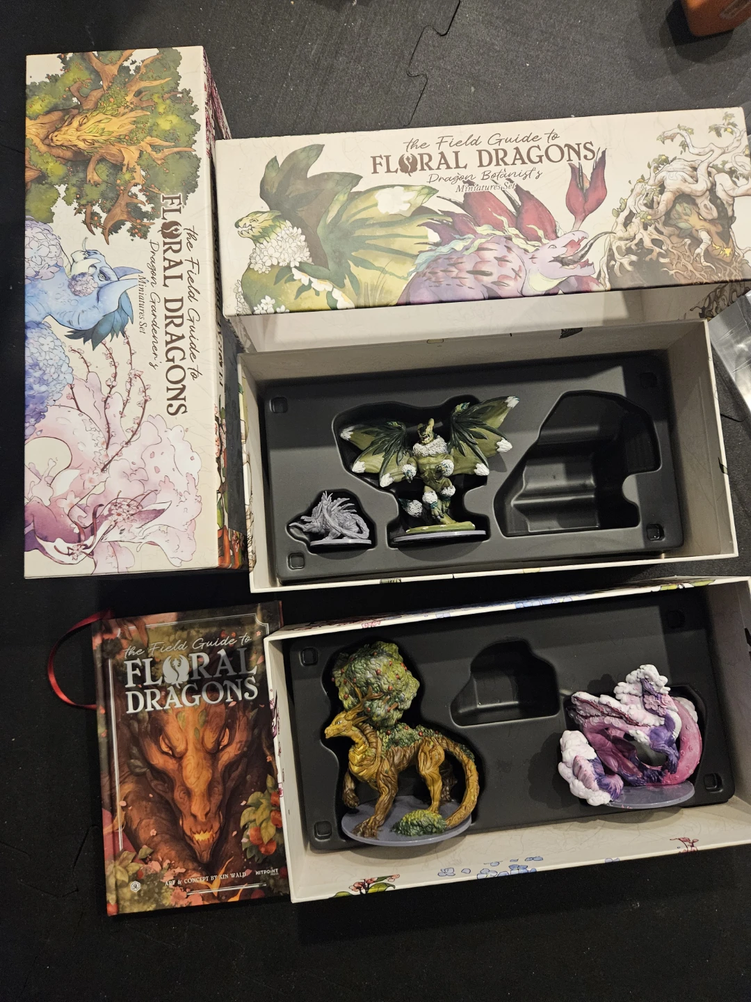 Flotal dragon lot (miniatures, and colouring book, dnd book