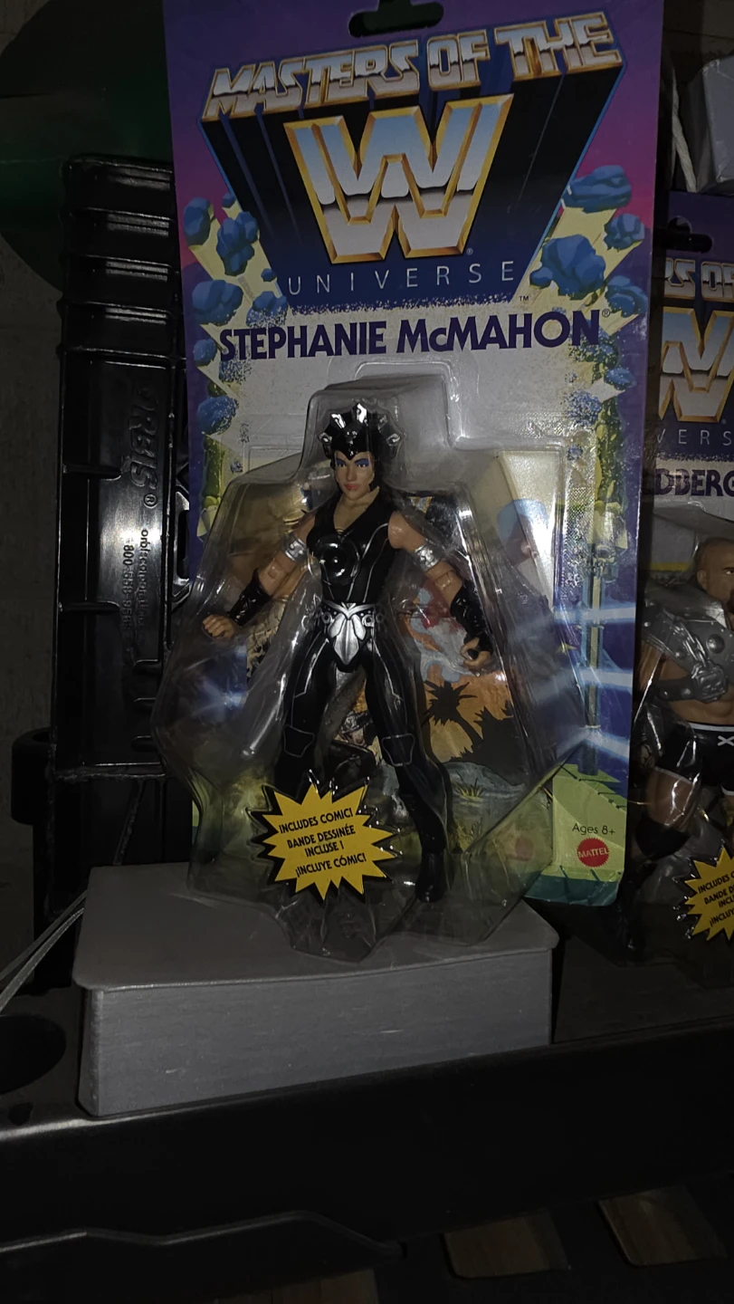 Masters of the Universe WWE Action Figures