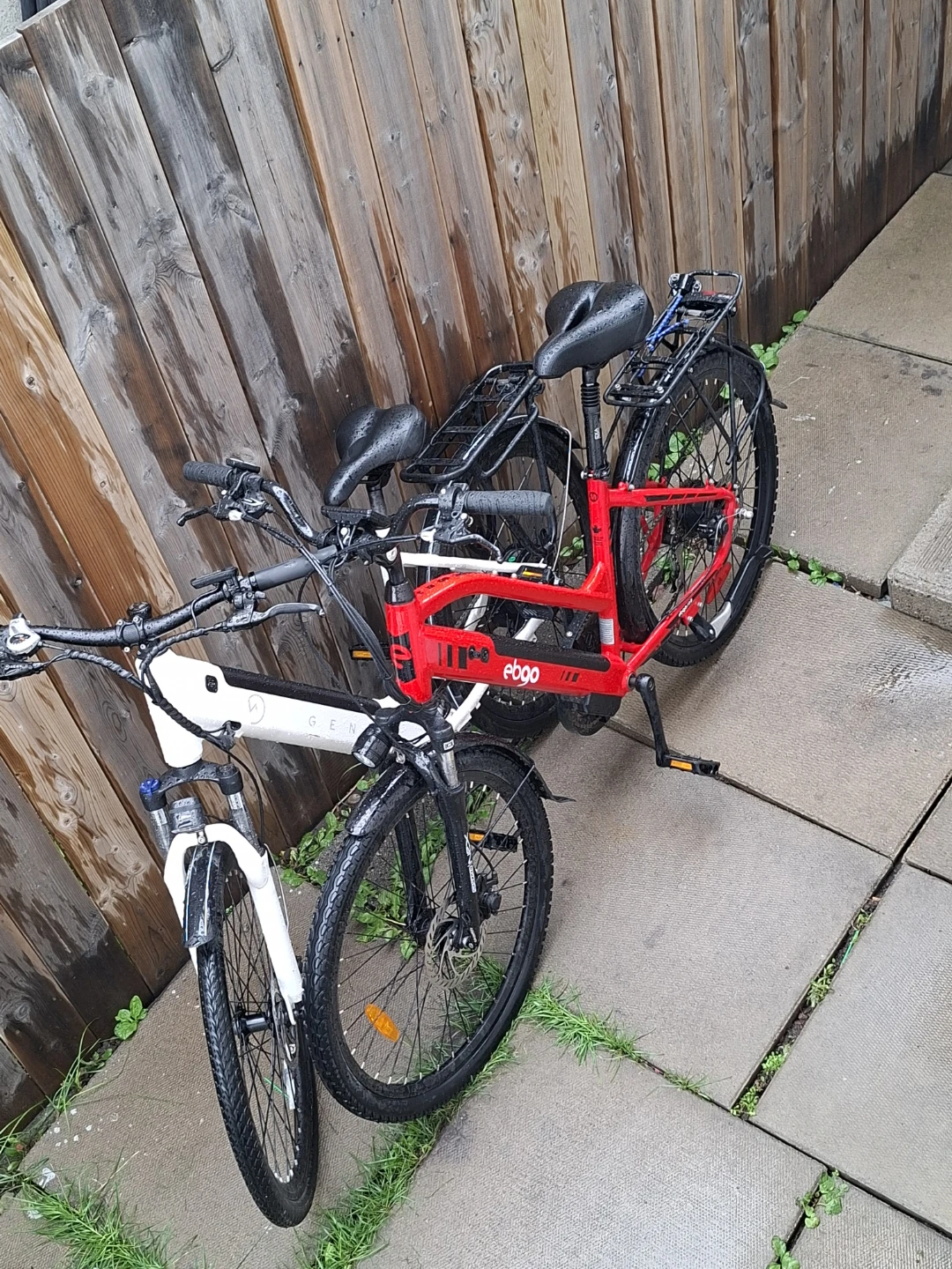 Ebgo Electric Bicycle