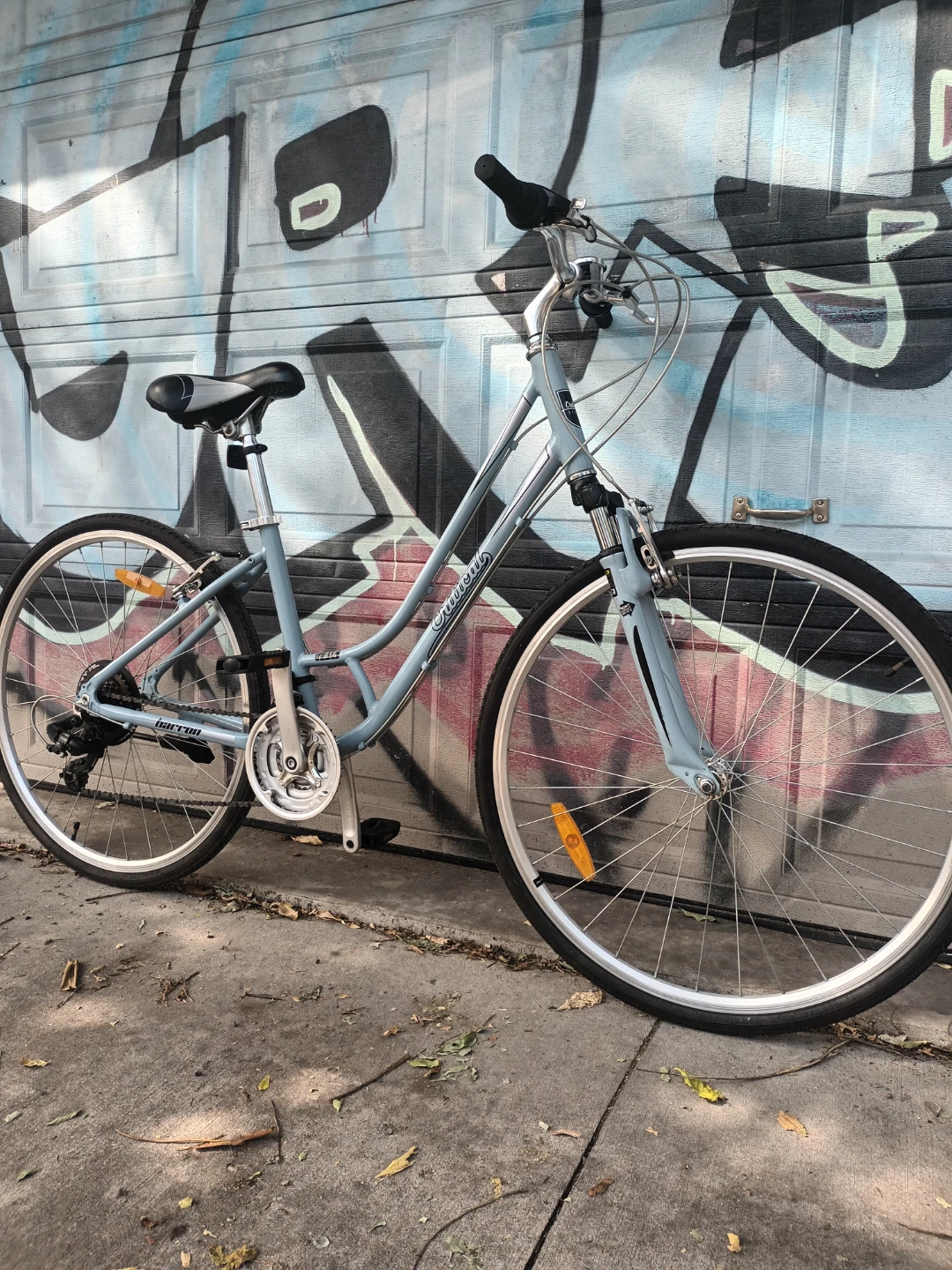 Critical Small Frame Women's Bike - photo 2