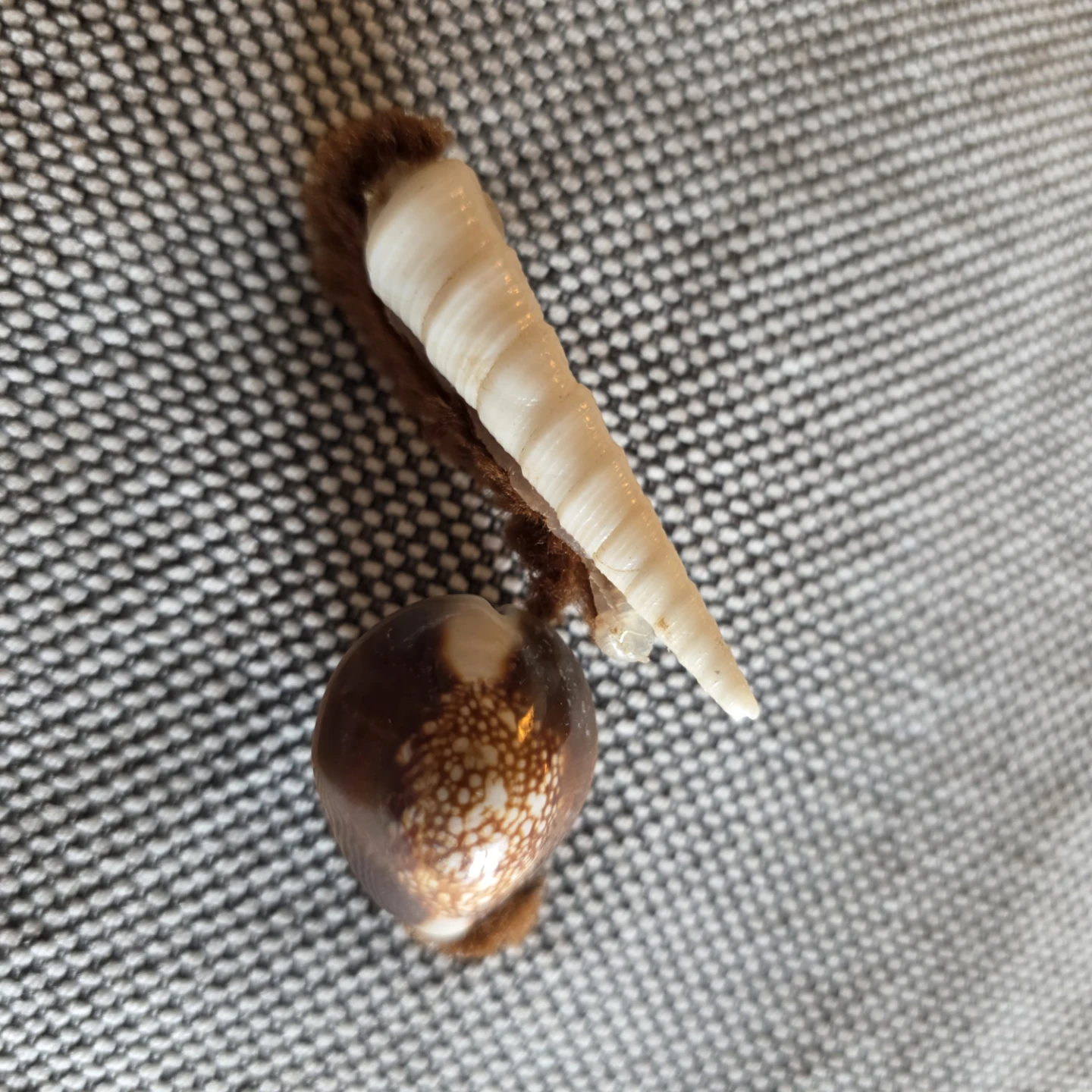 Vintage handmade seashell snail refrigerator magnet. - photo 4