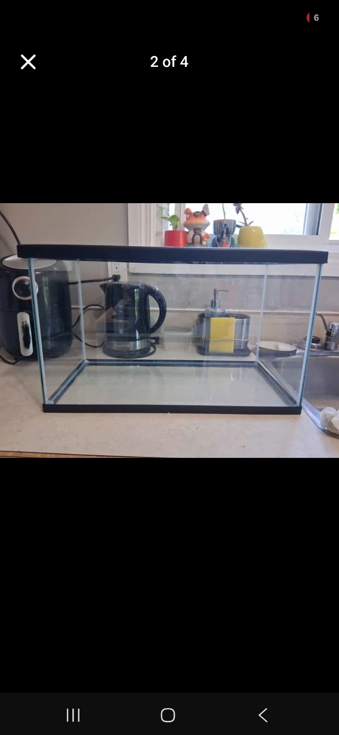 10 Gallon Reptile tank