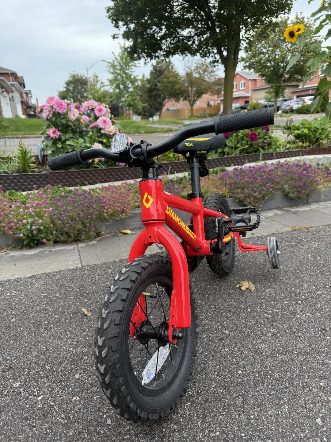 12" Junior Mountain Bike (for 2-4 years old) - photo 2