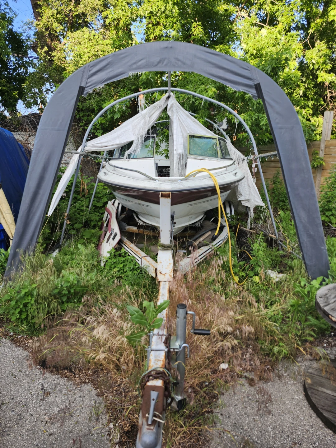 Pending-Peterborough Boat on Load Rite Trailer - photo 4