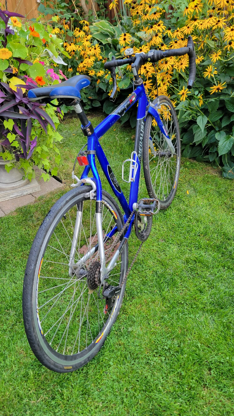 Blue 700 "Medalist" Road Racing Bike-$290 - photo 2