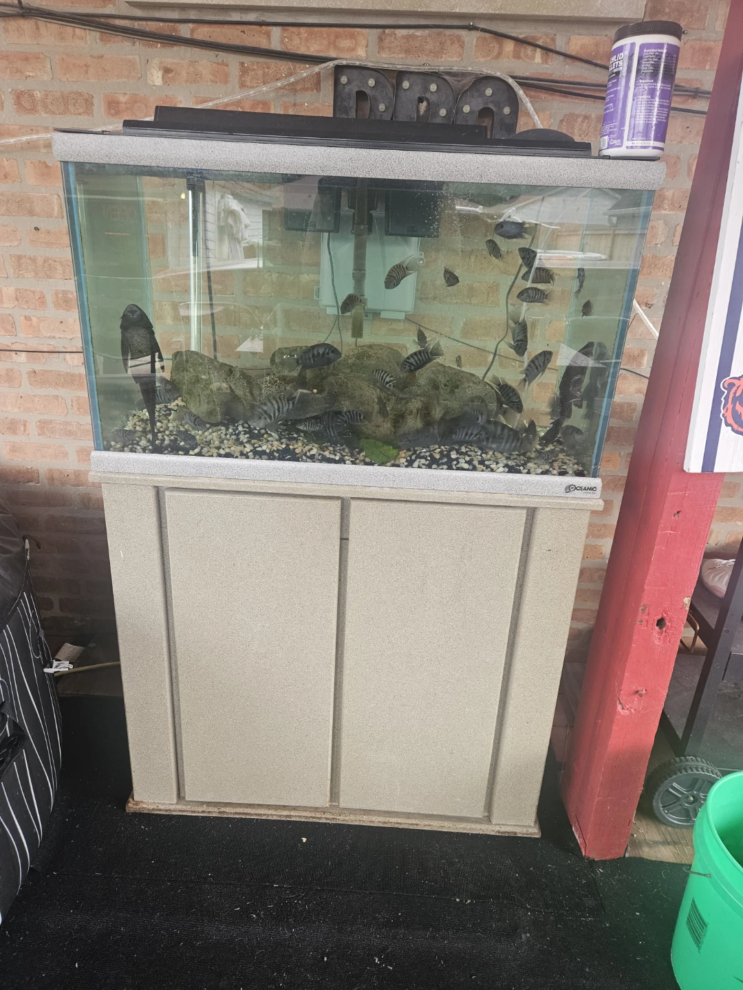 Oceanic Aquarium with Stand