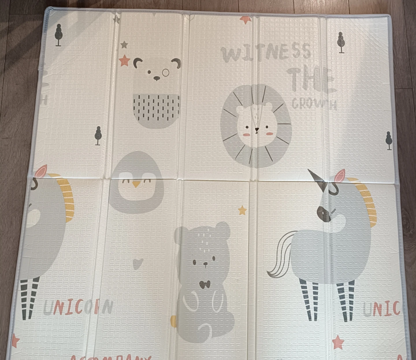 Foldable Reversible Baby Play Mat