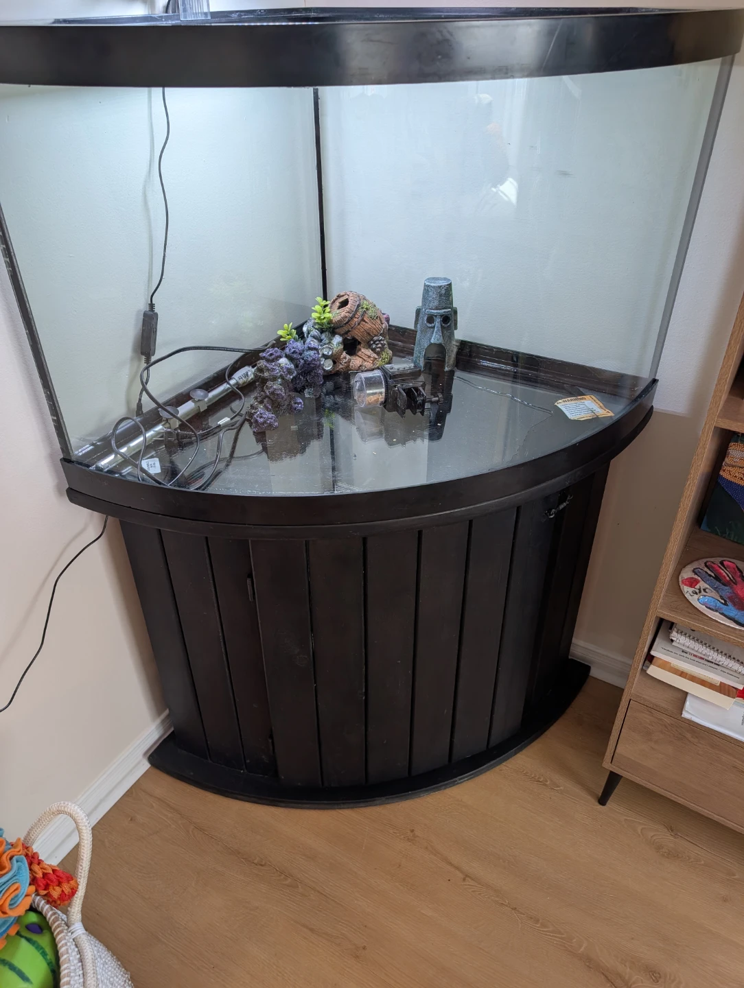 54 gallon corner bow front aquarium.