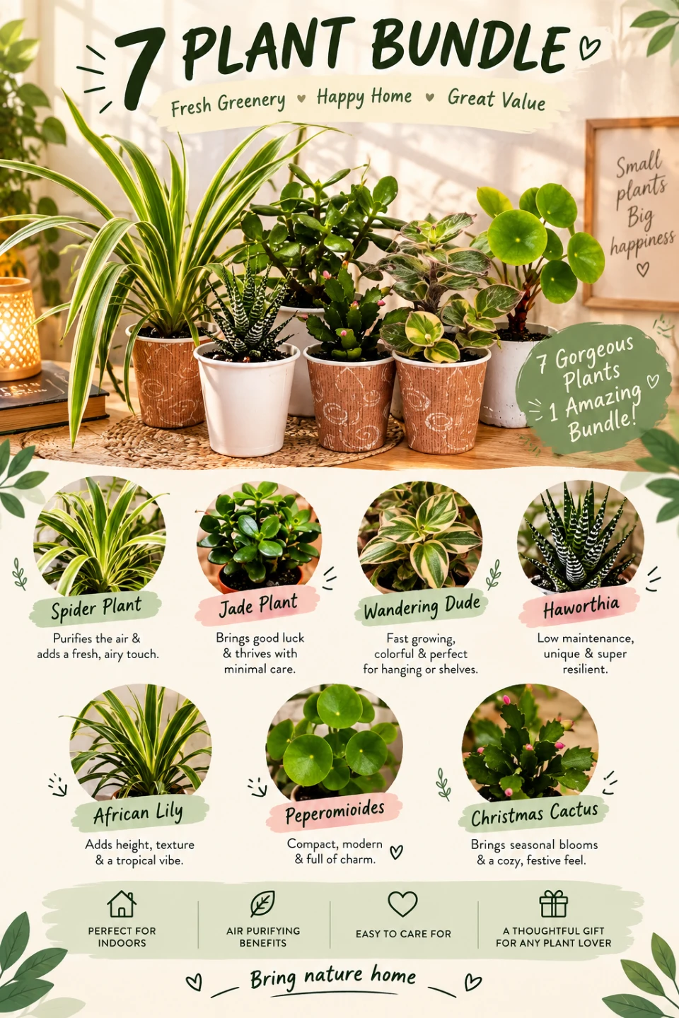 🪴7 Indoor Assorted Lot Plant Bundle🪴
