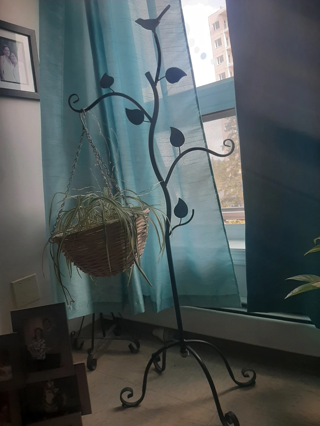 Rod iron Hanging Plant Stand