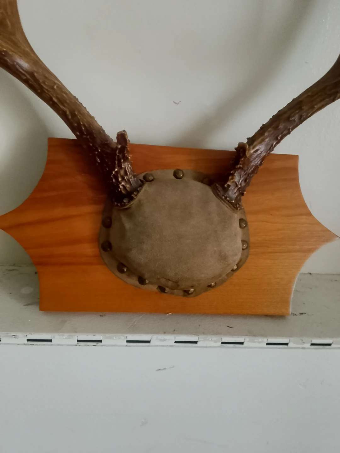 Wall-mounted decorative deer antler plaque - photo 2