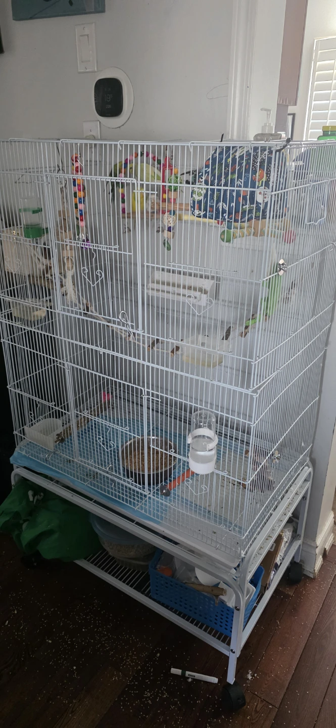 Large White Metal Bird Cage with Stand with 5 budgies