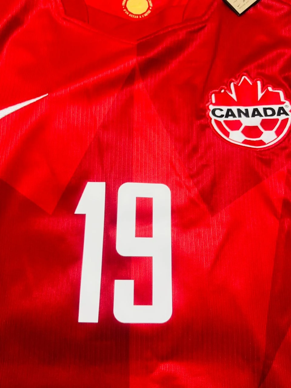 Alphonso Davies #19 Canada national team jersey - photo 4