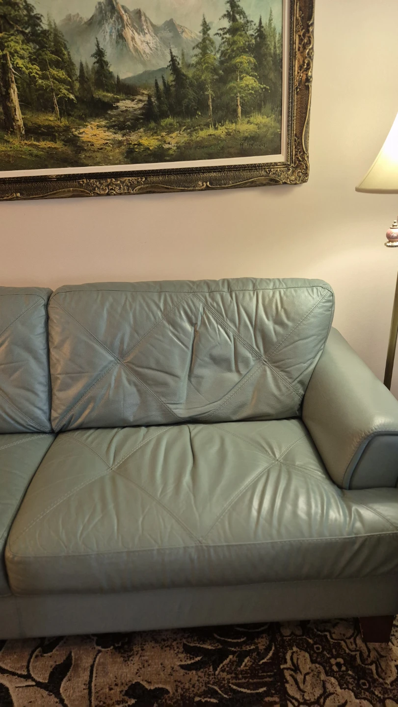 Chateau d'Ax leather sofa 🏈 - photo 4