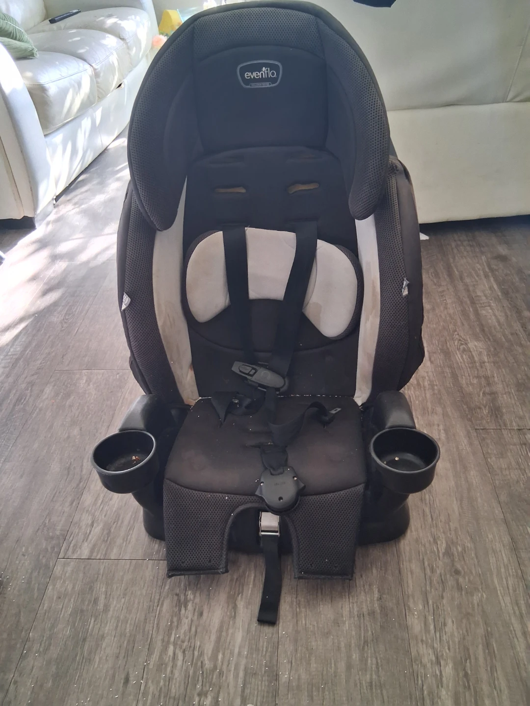 Evenflo Combination Child Seat