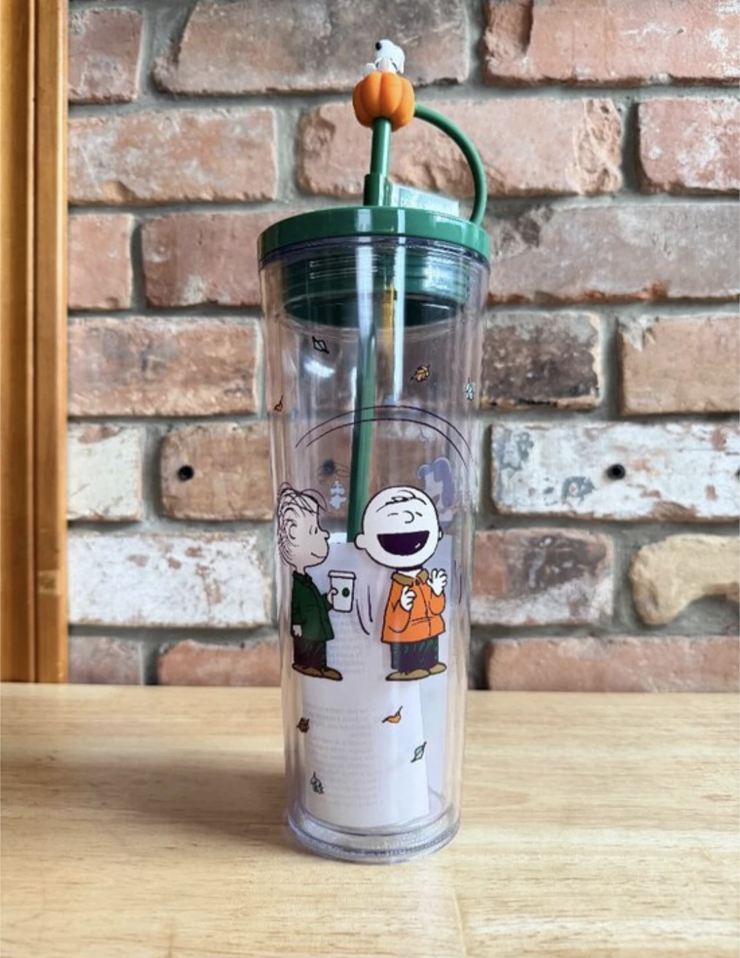 Starbucks Peanuts Snoopy Cold Cup brand new