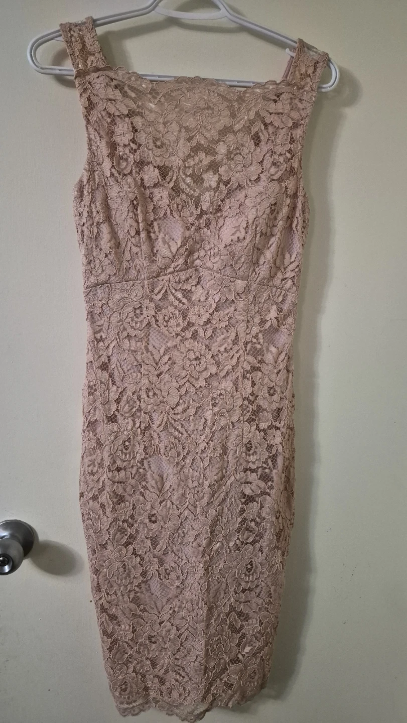 Le Chateau pink lace dress size 2 - photo 3