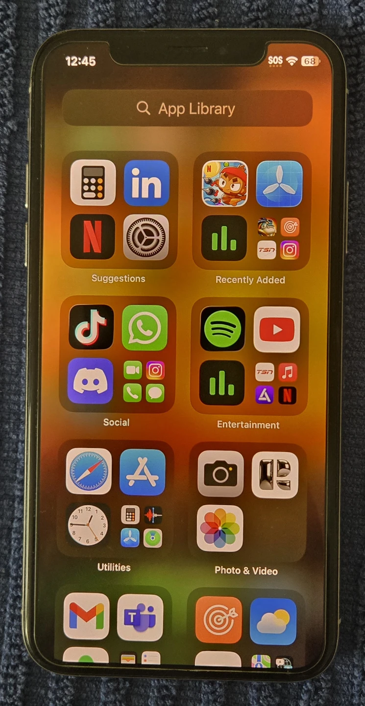 IPhone X (256 GB)