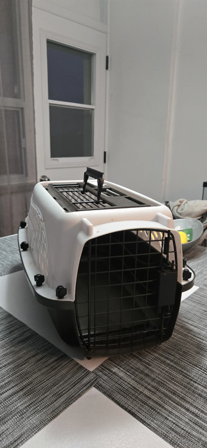 Small cat carrier