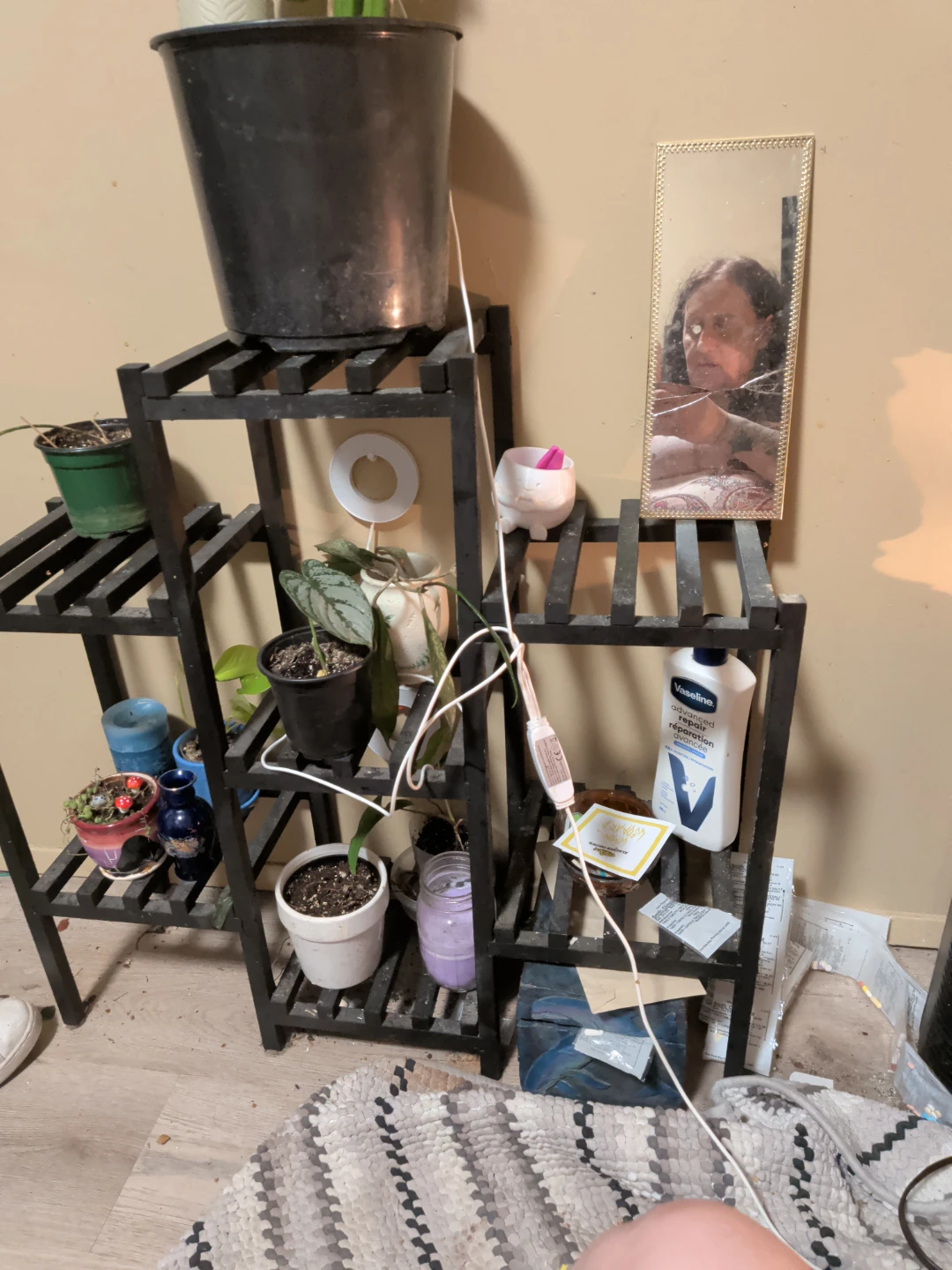 Black Multi-Tiered Plant Stand - photo 4