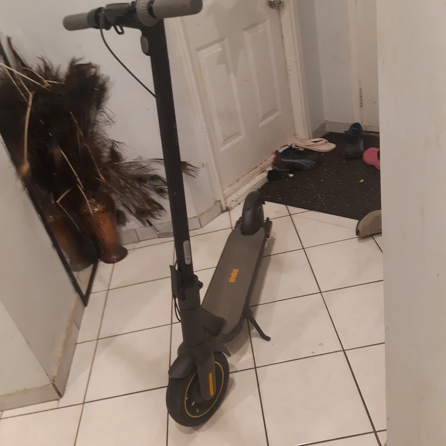 Ninebot Segway Electric Scooter