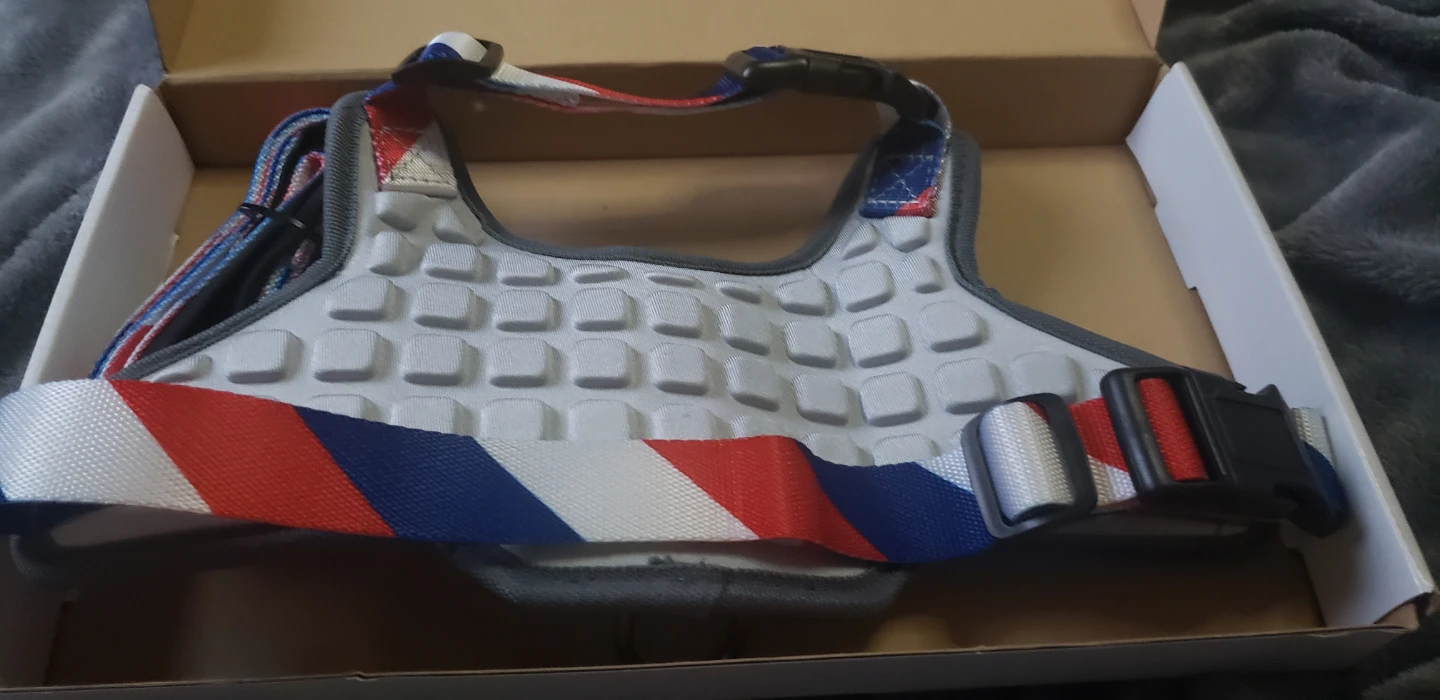 Brand new Union Jack Dog Harness and Leash Set - photo 2