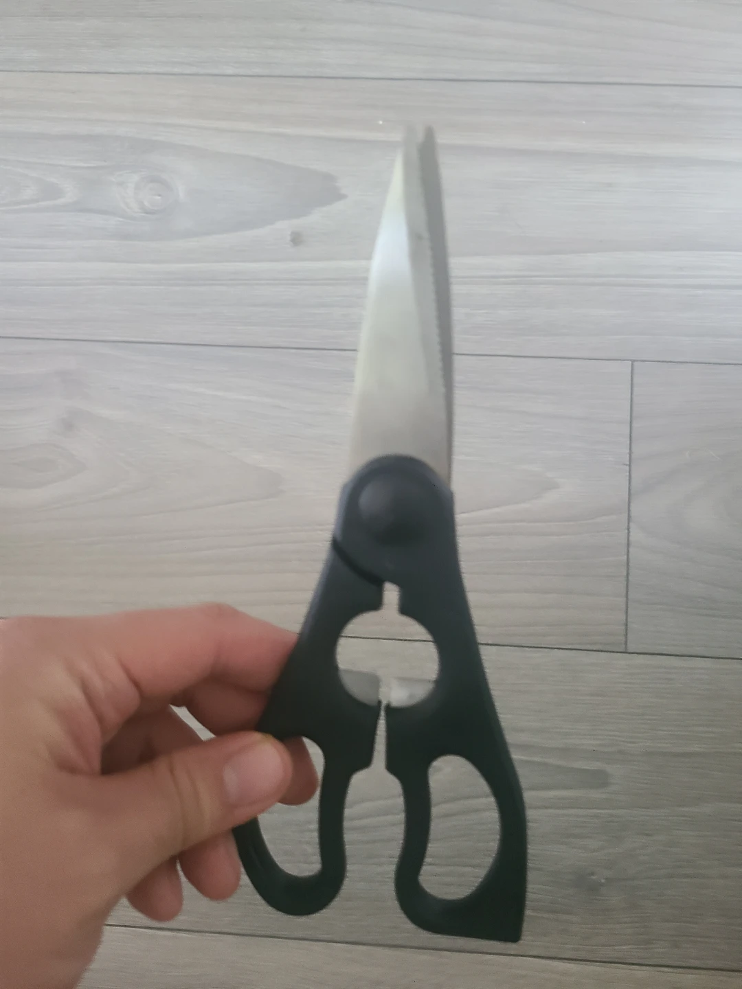 Kitchen Scissors