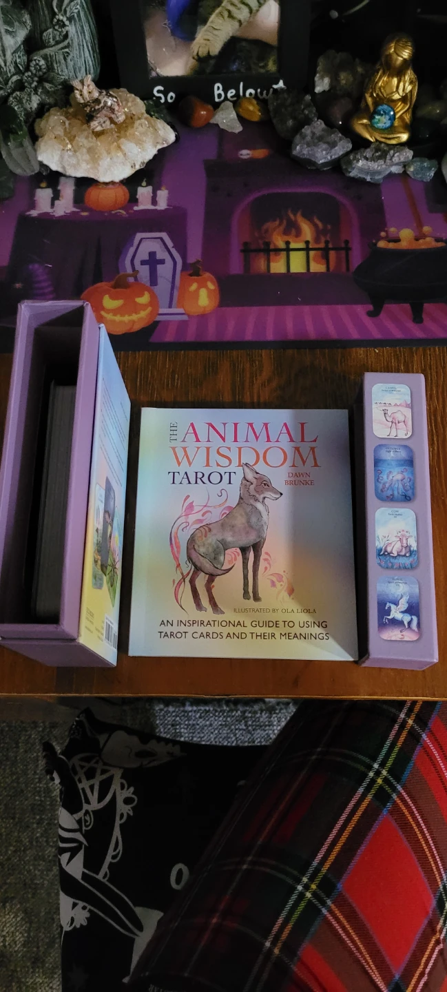 Tarot Cards, Animal Wisdom - photo 3