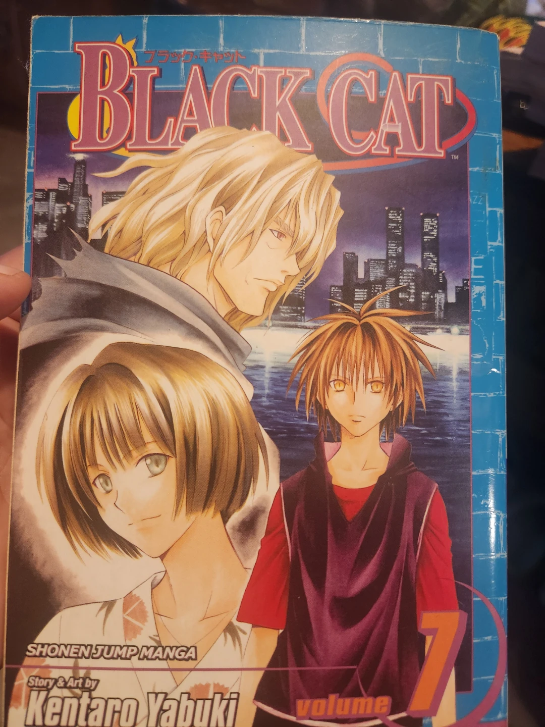 Black Cat Volume 7 Manga