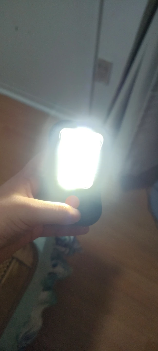 Portable LED Work Light - photo 2