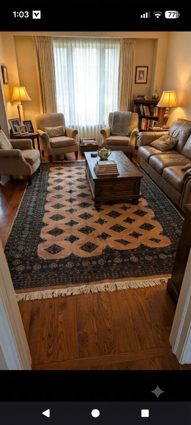 Hand knotted Bokhara Rug