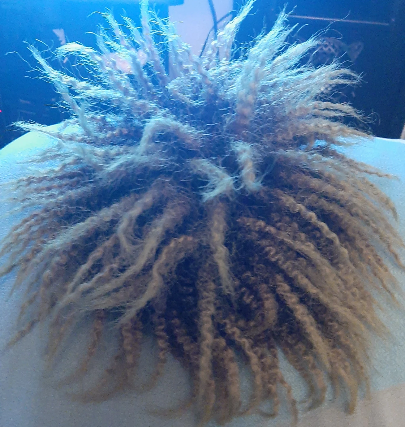 Synthetic Curly Hair Bun Extension