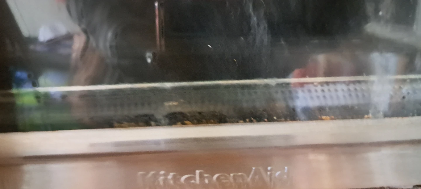 KitchenAid Convection Toaster Oven - photo 2