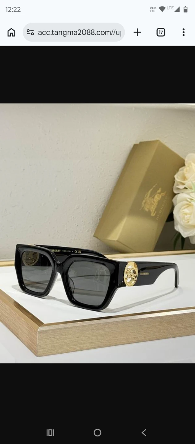 Burberry B 5882 Sunglasses women's