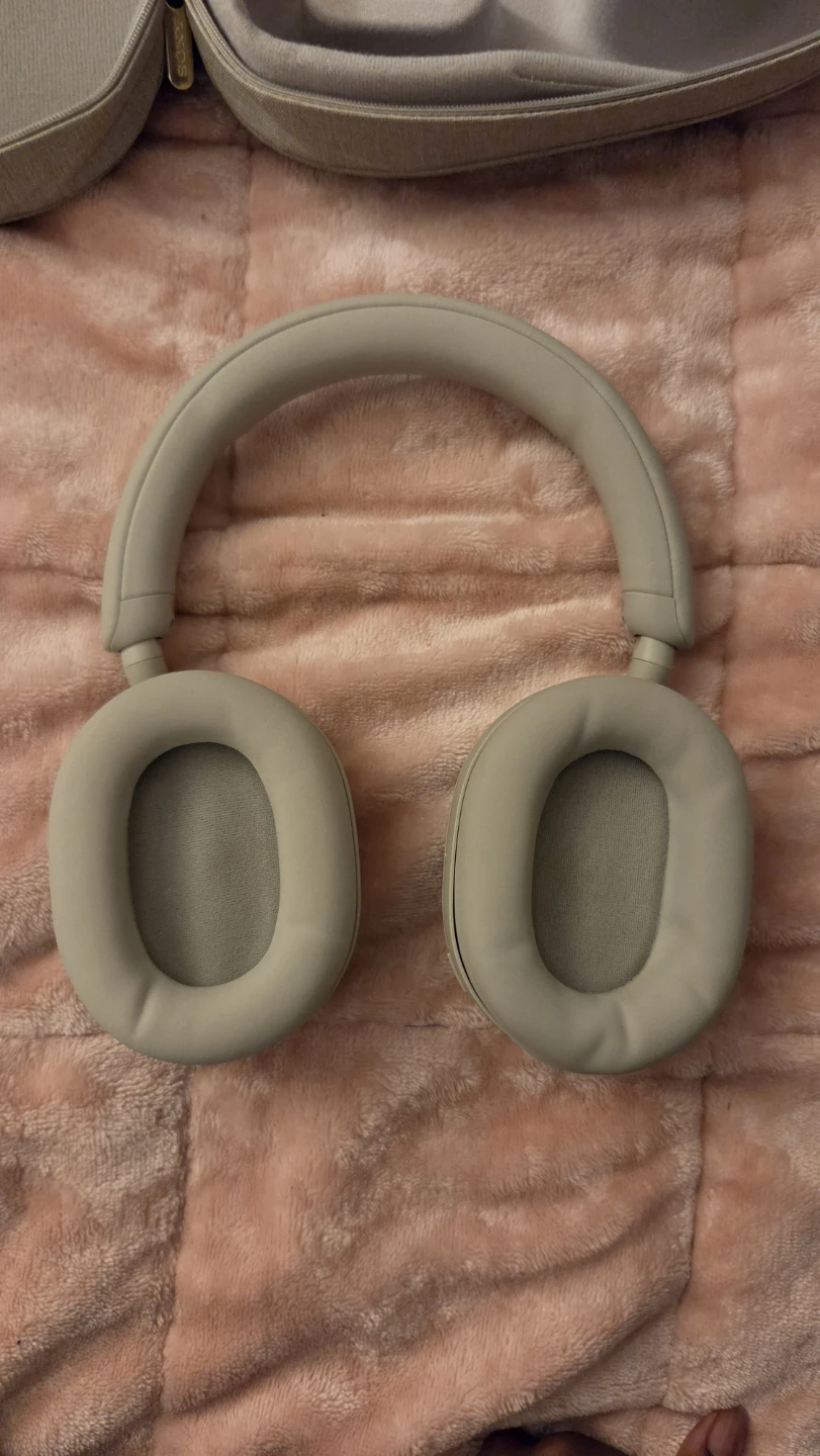SONY WH-1000XM5 Headphones (Sandstone) - photo 4