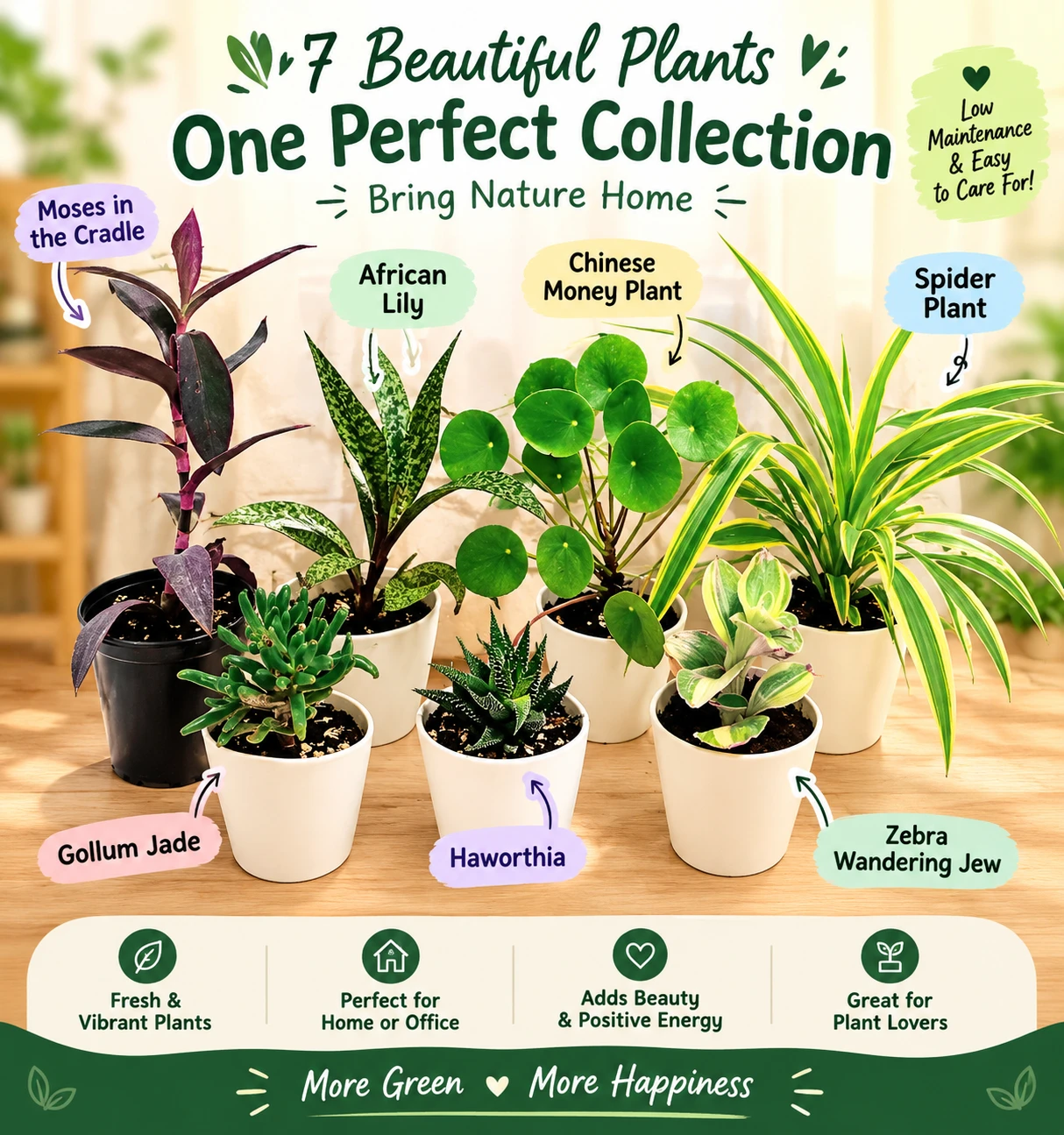 🪴7 Potted Houseplant Collection🪴