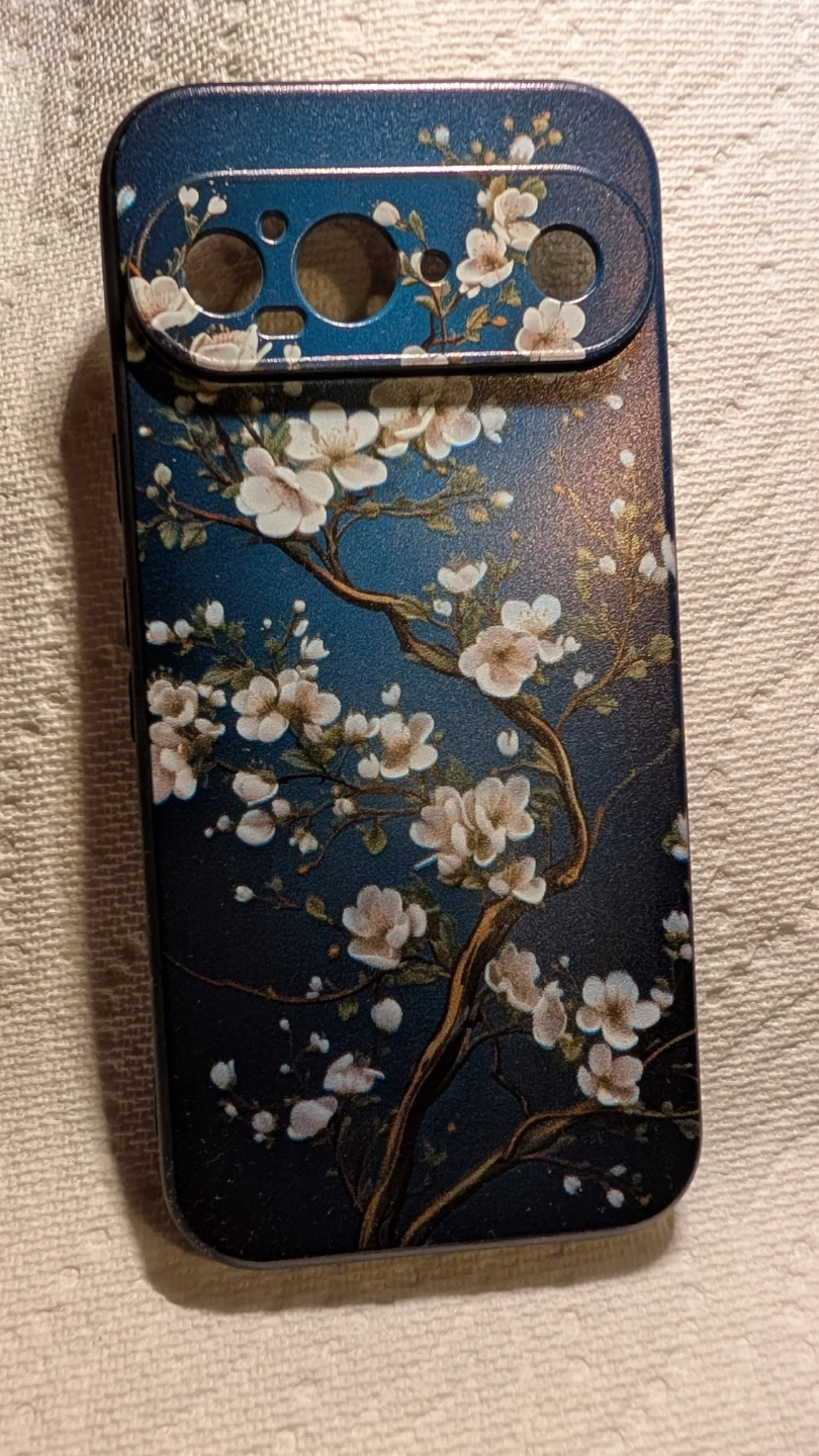 Google pixel 9 case