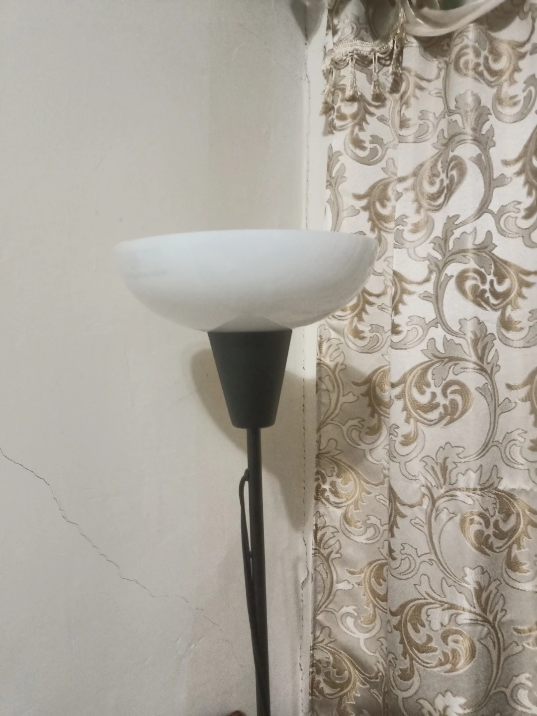 Black Floor Lamp with White Shade🏈