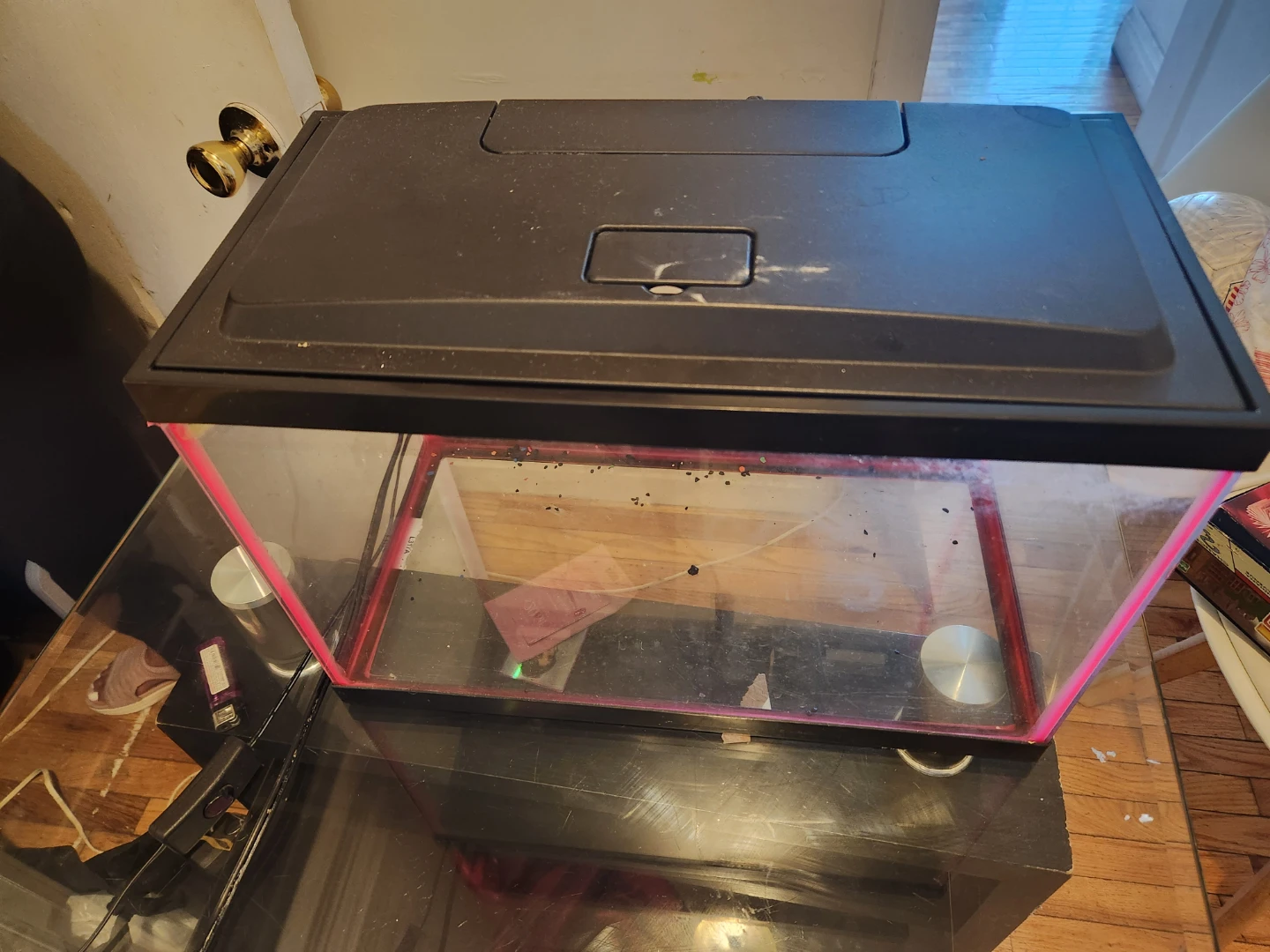 Aqueon 10 Gallon Aquarium Tank