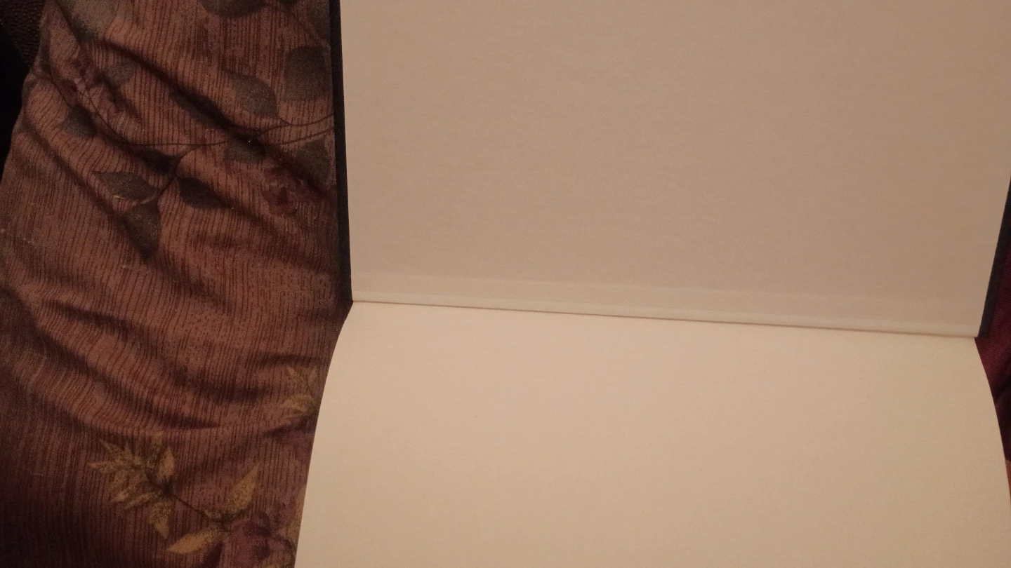 Encyclopedia Americana Volume 12 - photo 3