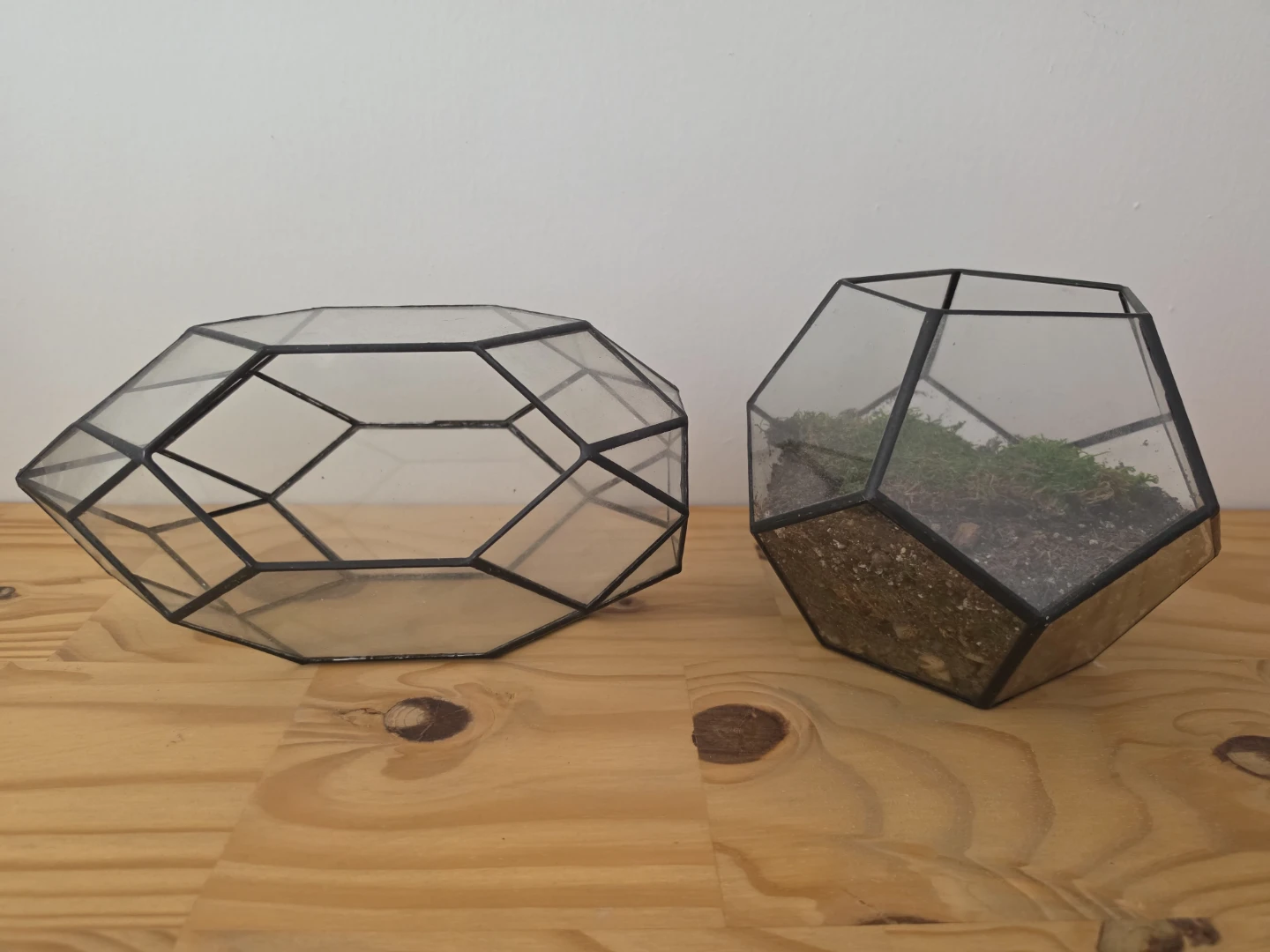 Set of Two Geometric Glass Terrariums 🏈