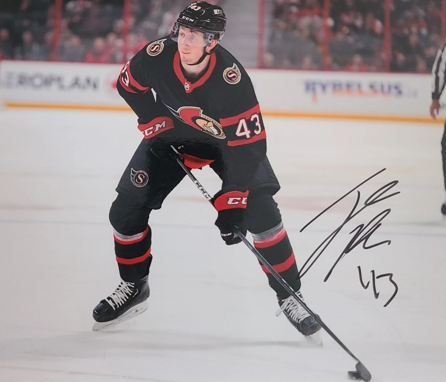 Ottawa Senators 2025-2026 Autographed NHL Photos With COA'S - photo 3